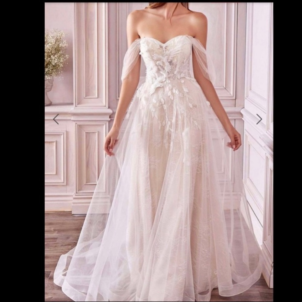 NEW in box! Appliqué Off shoulder A-line gown.